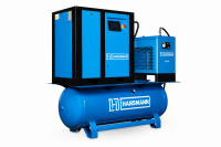 Винтовой компрессор Hansmann RSE 22-8-500 DR